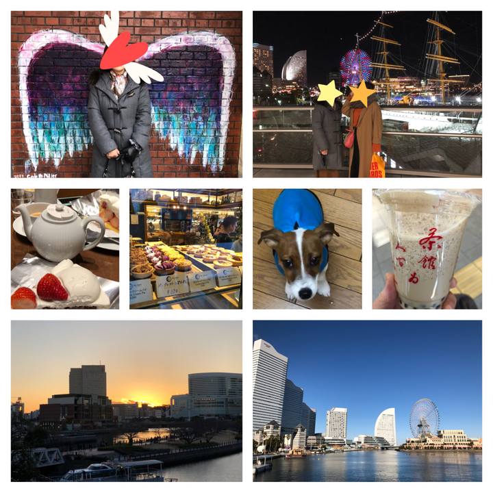 51900d3b 6d7f 42bf aa07 ae7ad654ea96 1517059725731