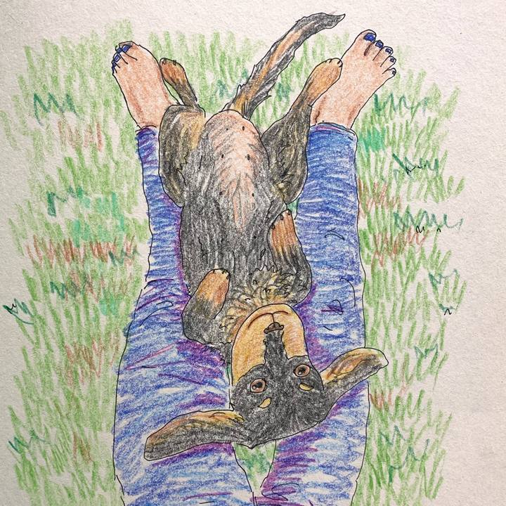 519035a1 541a 4d9c 9fb5 199aee1b175a 1684983728970