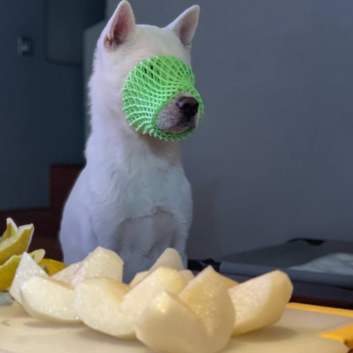 51903d9d a5e5 45d3 a57d 8d272e482deb 1691838916729