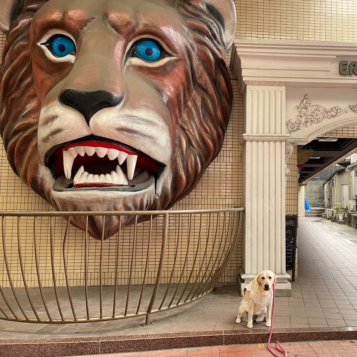 5190769c a009 4959 b5b7 e49cf8dff3b8 1635608964022