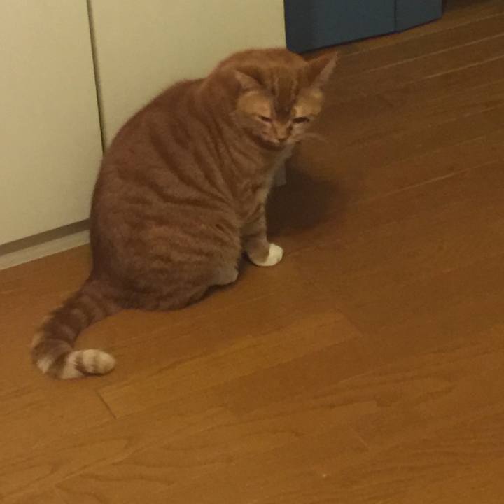 51907b2b 0059 494b 897d d61bba77c185 1547907411051