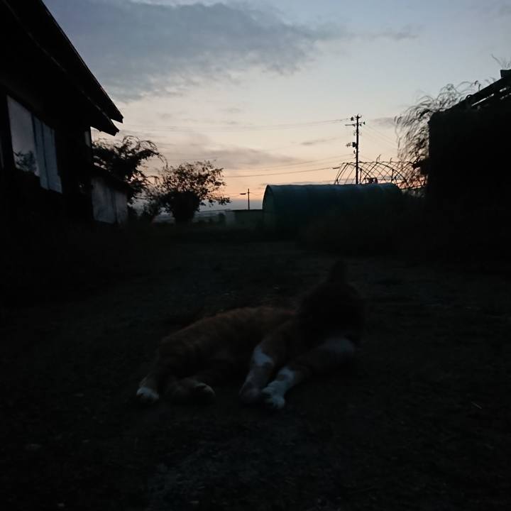 5190dc4a 9861 400b b732 aa167f8dc6cd 1600287381523