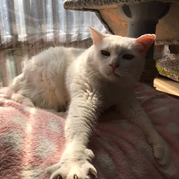 5190e3b4 10dc 4772 83b0 f7d9eb23228d 1581333954092