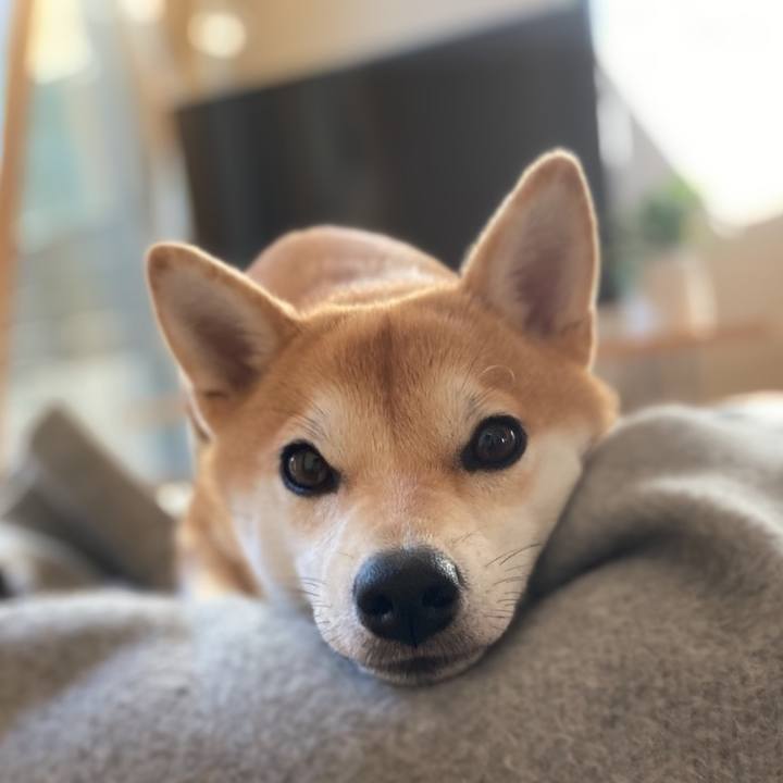 5190fbdf 2072 49bf 881d 34f0b8734b6e 1668557259589