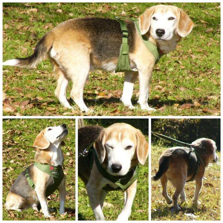 51911269 a0c8 4f1e ae05 e7084390f809 1671754978012