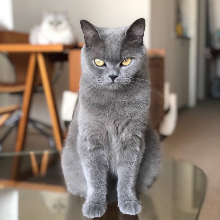 51911701 abb6 4c50 8c91 0101345bacce 1533338000941