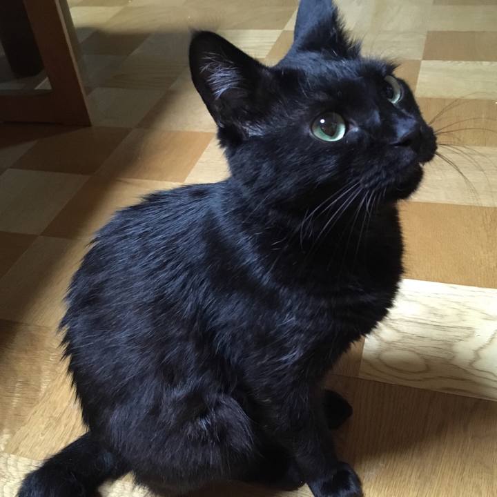 51913707 cc3b 4f65 86be 22a9a577363a 1532692676665