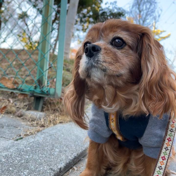 5191589b a14f 4d4e a0c8 18e08d4590f7 1735821791887