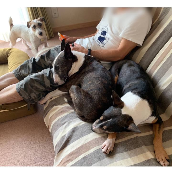 519173a1 ca3f 46b8 936a da09872afc4f 1598183098801