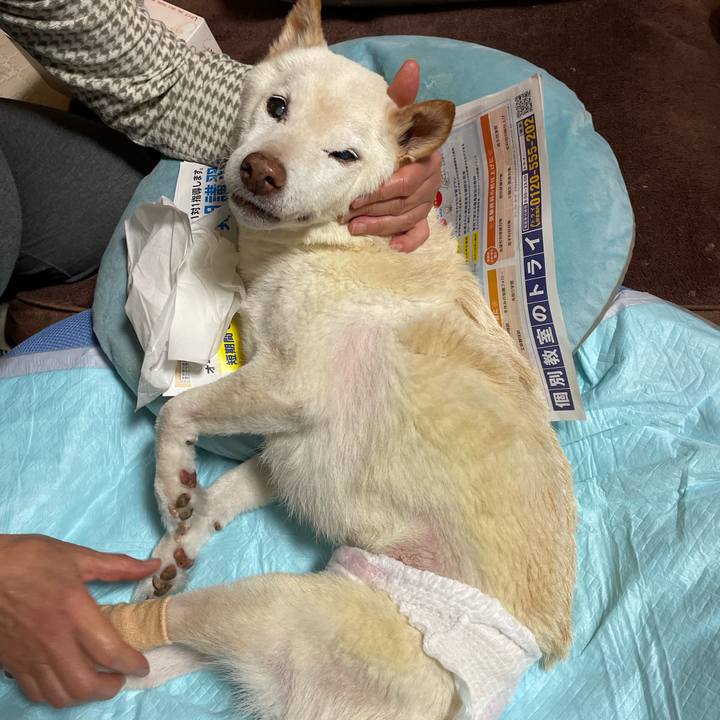 5191b18d e6cd 45b3 8179 82813f998ee1 1670241789383