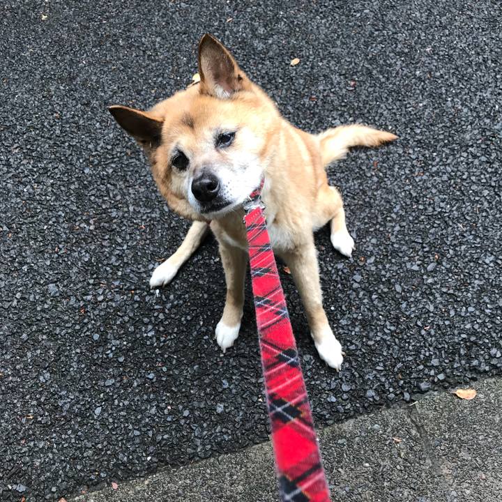 519212e6 b702 4f93 84ea 0de9ad6ca6fe 1528237188885