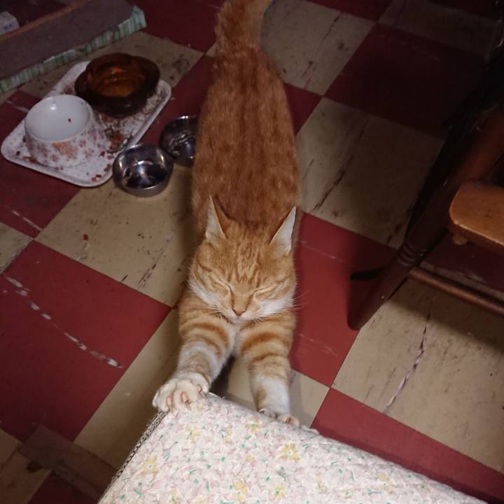 51923742 783f 4c7a 8303 4c8f44a7d2e6 1570650985211