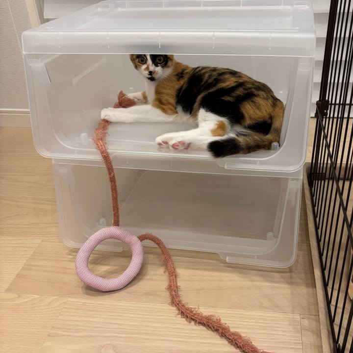 519242bb 2782 49bb 94a3 993439eb9683 1759846424518