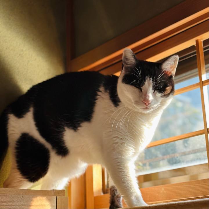 51925d1b 6d93 41dd be47 af45537a57df 1681003364942