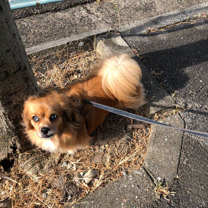 5192ad4e ff99 41e5 b03b ad484289e324 1565832715688