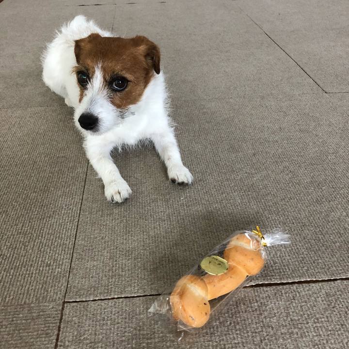 5192d5a4 7609 4205 98bb fd3f9ca10816 1526193304429