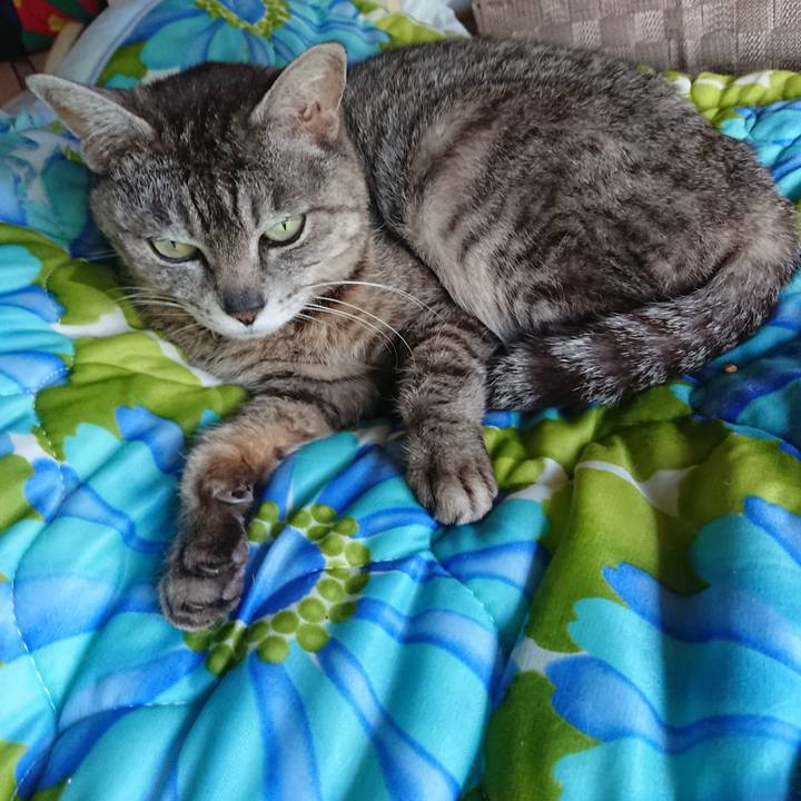 519304d6 b872 42e9 b0ab e6758b28e979 1560849887643