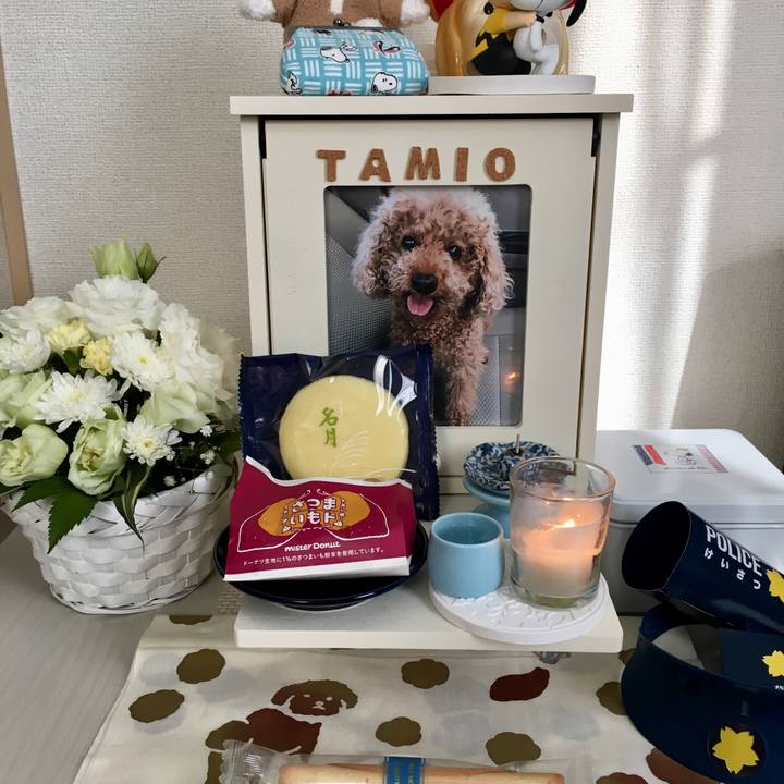 51930f63 8818 4ef6 a940 f46b9f2de2bb 1630583290410