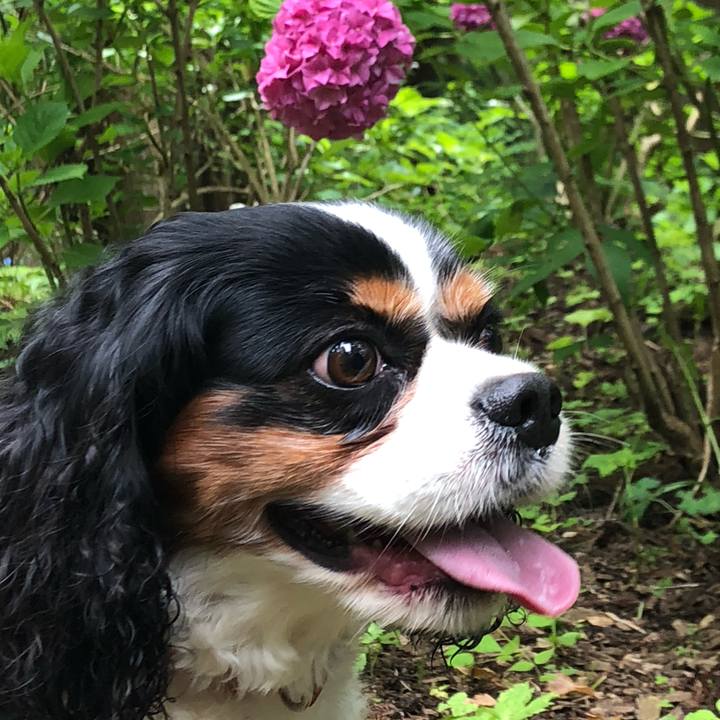 51931e0c 2a8f 4a67 991b a0e26046b5f5 1562836182481