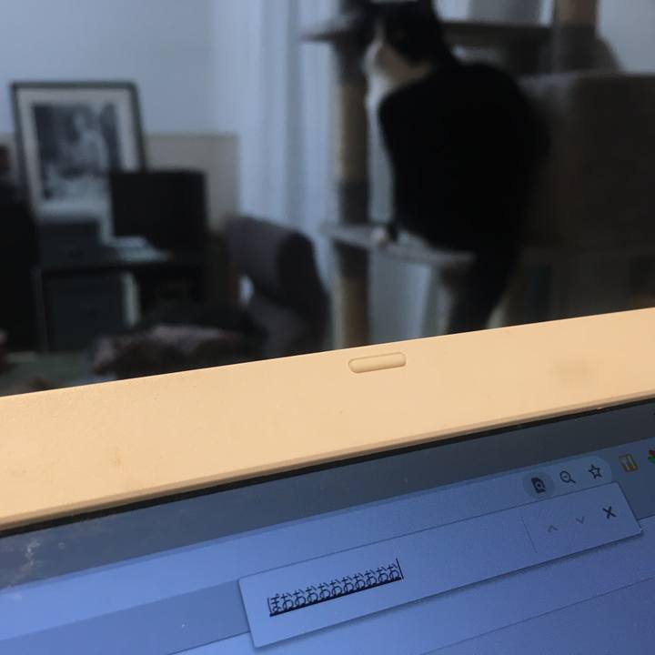 519337c3 e518 4945 ab62 872f8d662763 1610970836728