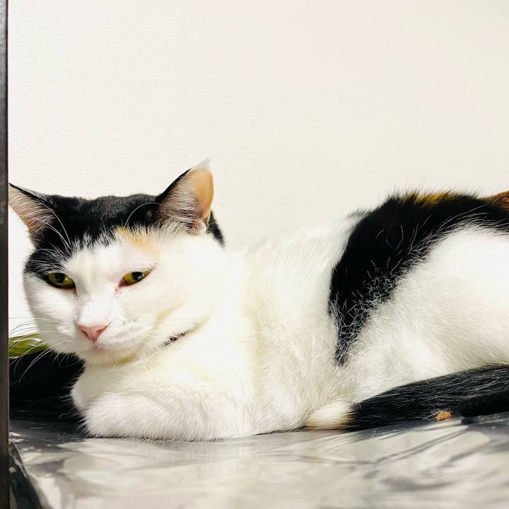 51935b01 7f34 4f49 a4ca 3cb3de126fd4 1697408768668