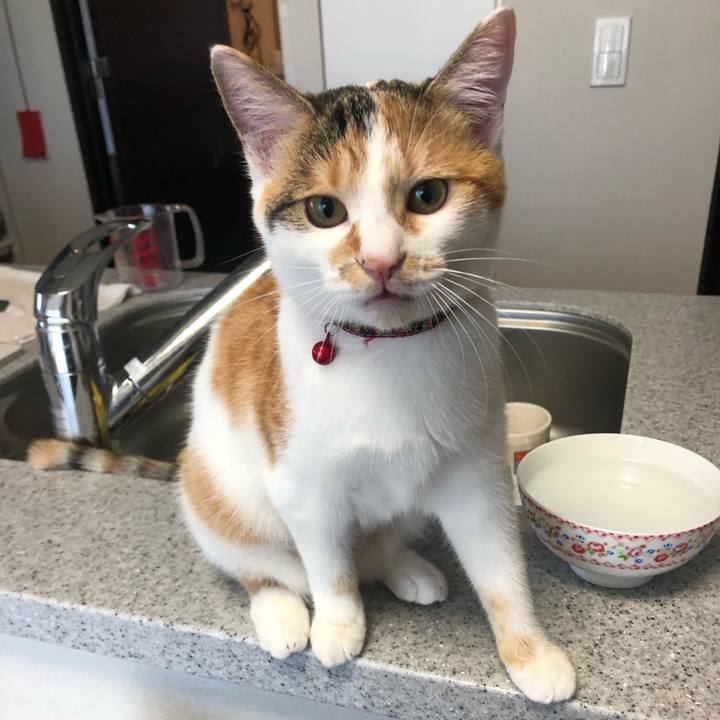 51936b64 209c 4ae0 904e 88a302bbe6ff 1572565060034