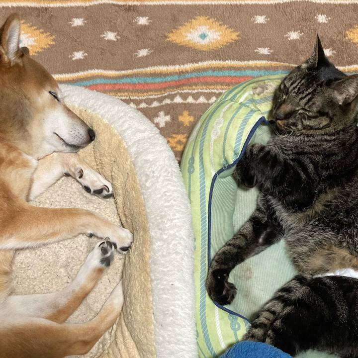 519375f5 e6b7 458b 9eec 5f99a4de1f04 1635599077076