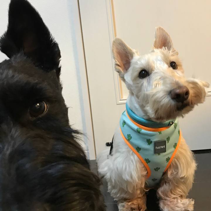 5193799e ecd7 4214 97d8 4878385685a6 1557168384742