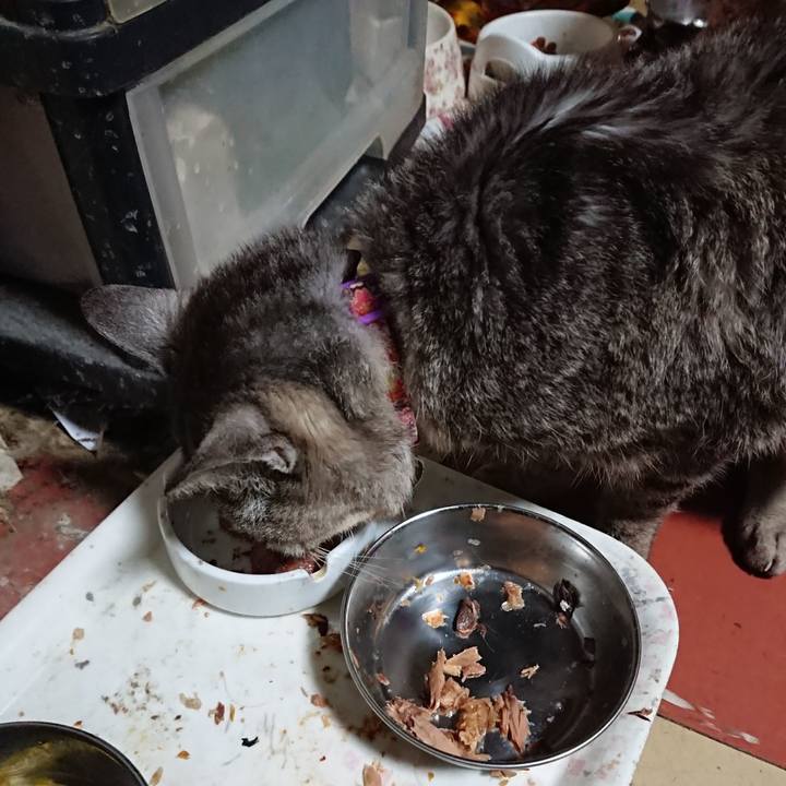 51938169 976f 490c 80b7 899f5370546b 1596748122342