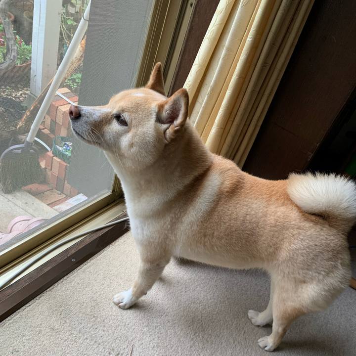 5193c23b f3c2 4bf0 a7e6 b00336c2d9ed 1623908163007