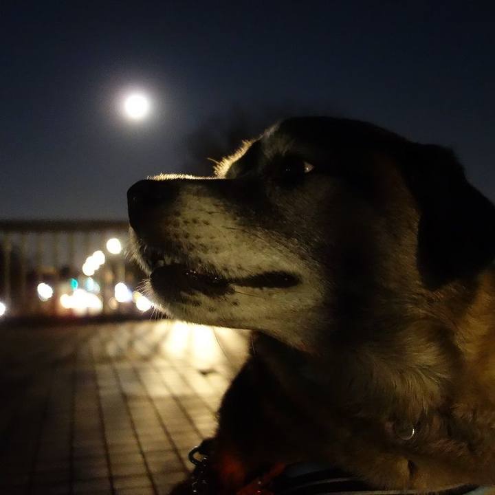 5193cb41 3b30 4eb3 ad75 f5c0e2396f77 1519989268638