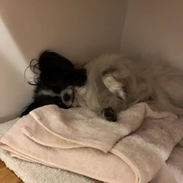 5193cbe3 abc0 4bfd 927a df5e6ef435d5 1558794748900