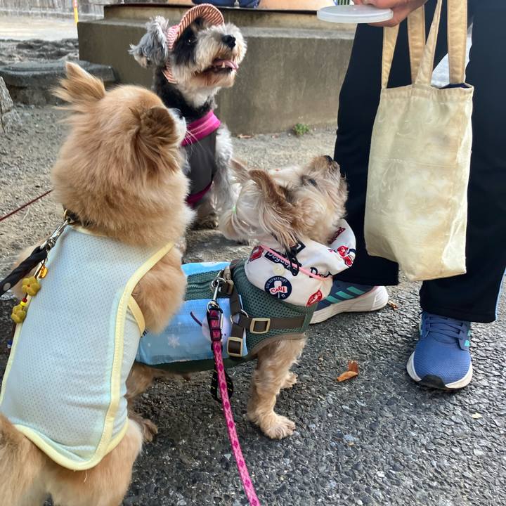 5193d7d7 7588 4cf3 aa20 fe408e88132b 1753842299256