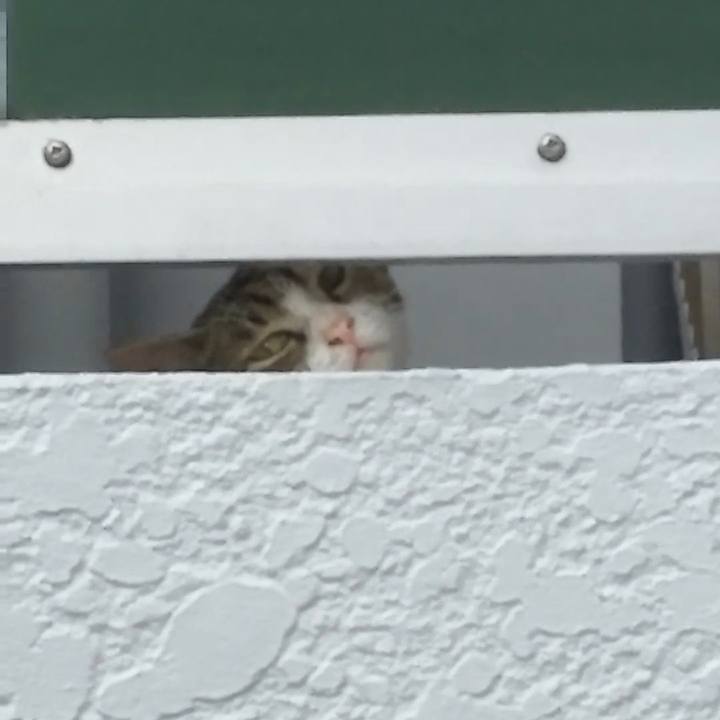 5193fdd8 75ef 4e00 aa82 327ed1537d58 1534149787062