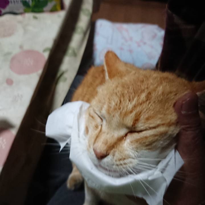 51943d4d 63fe 4f37 af70 383c68ce86c5 1586725480629