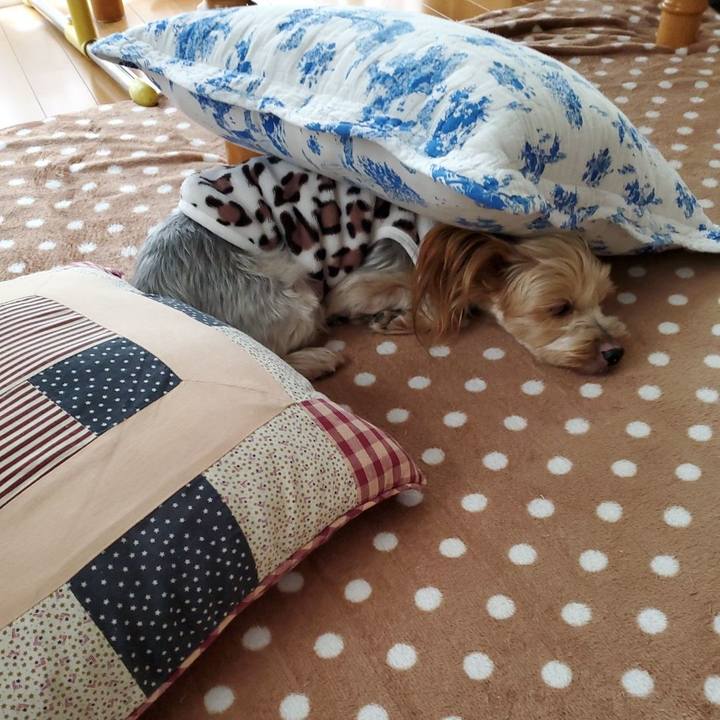 519469d7 7b14 4aff 96c0 a84c57fc5d39 1578265984362