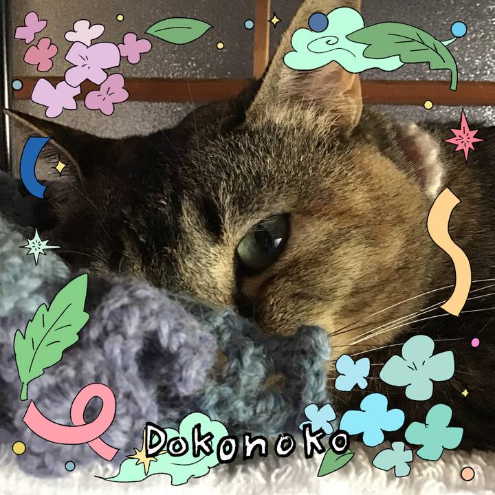 5194e184 4893 414c b1e0 c8f1b1a43b3a 1717584960396