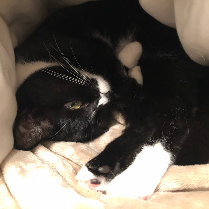 5194e27f 3f65 44b6 905b bbb28b0a0558 1587864431017