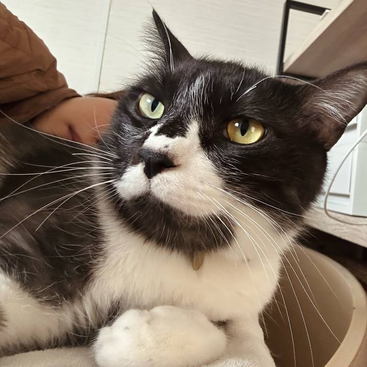 5194ef61 2ec8 4df0 82cb d8ed15176b61 1774159377110