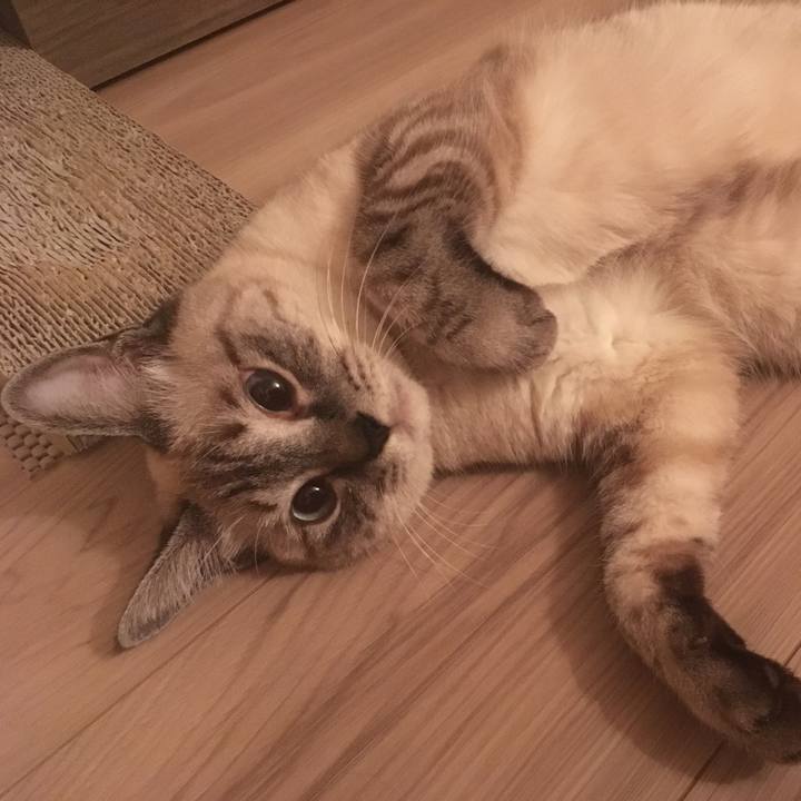 519554ef ed77 4ac0 9e7f 392a94c1e7de 1565268263362