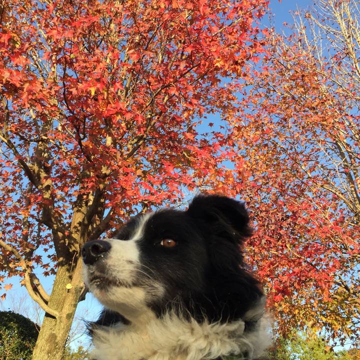 519580b1 ee09 4713 8d15 0a1654a99416 1573859351608