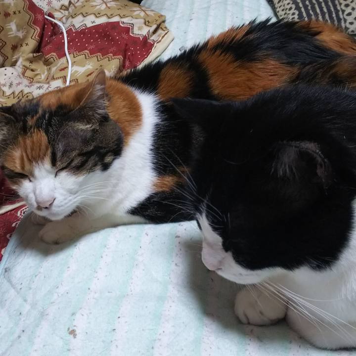 5195b6d6 1a62 4ddb a6a3 c15dfb266b45 1556581509471