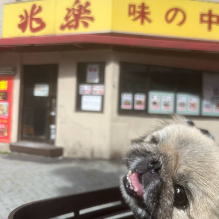 5195bae5 55a0 47a0 b952 f2ed4aaa671c 1724133145508