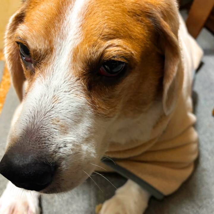 5195d326 a2c7 4dc6 a950 ebf0bb0a9b2b 1770897361133