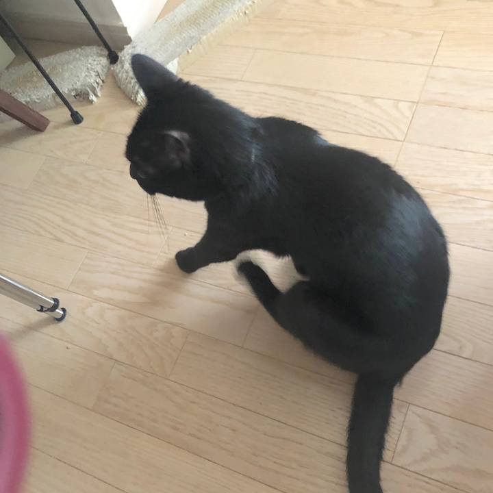 5195dc59 d215 4a86 8221 cb1aba52c5c0 1549971614945