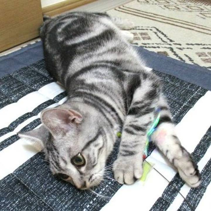 51961a56 9c9f 486e a3f0 6ae8b7a88298 1541898263125