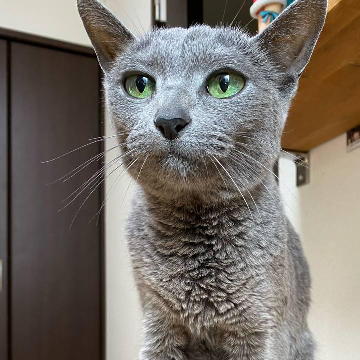 519649d4 2364 4beb 966a 20ed5fc48cbd 1618365590327