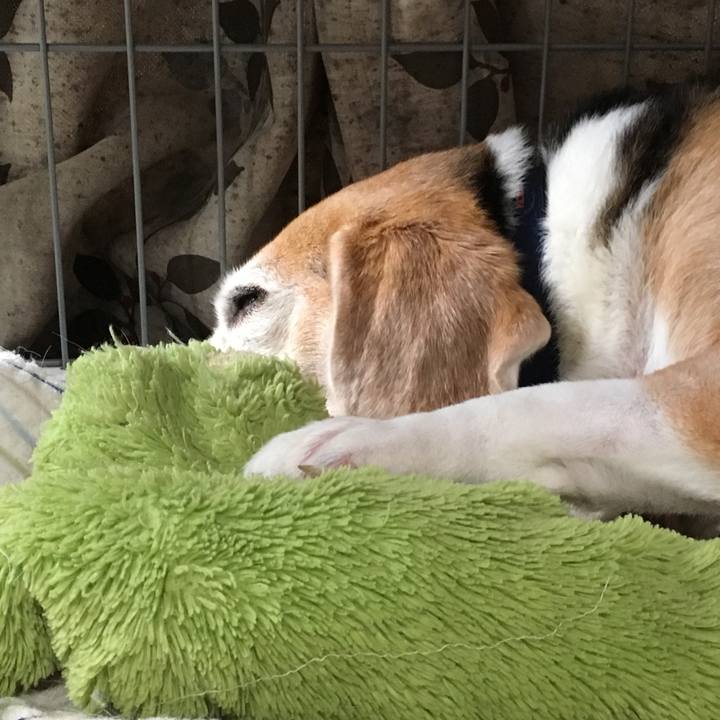 5196691a b87f 4635 bac2 f9c2a0776eb1 1535241946014