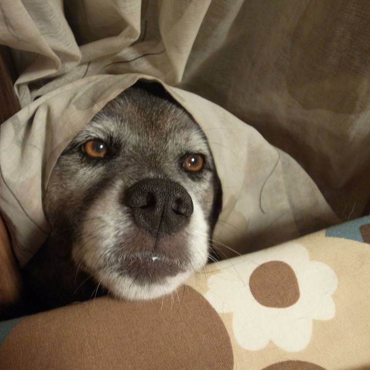 519676d2 9ee9 4801 a6e8 a59e1635641b 1609372940318