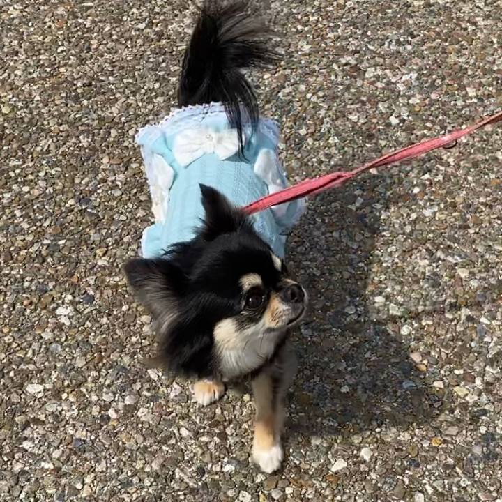 51968ba5 8410 4c72 b808 3b77f7ffc800 1616846128478